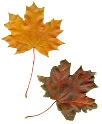 Similar image 397995