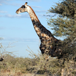 Similar image 398067