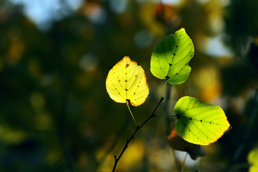 Similar image 398090