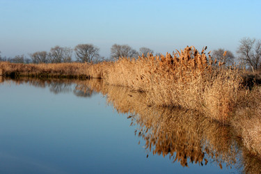 Similar image 398155