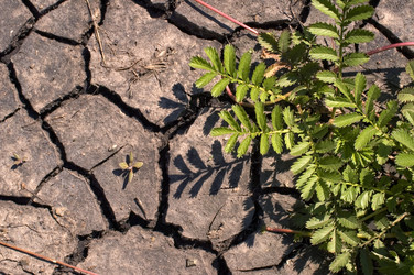 Similar image 398156