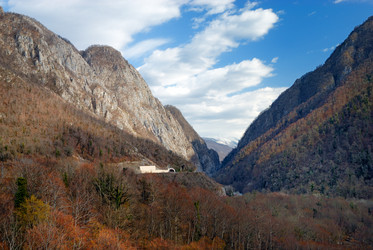 Similar image 398210