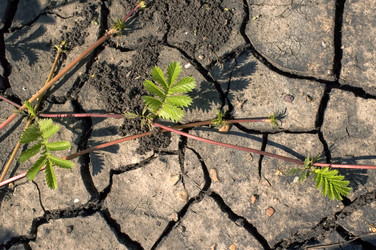 Similar image 398225