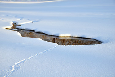 Similar image 398233