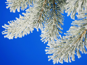 Similar image 398370