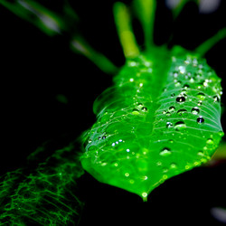 Similar image 398426