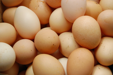 Similar image 398435