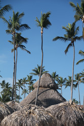 Similar image 398458