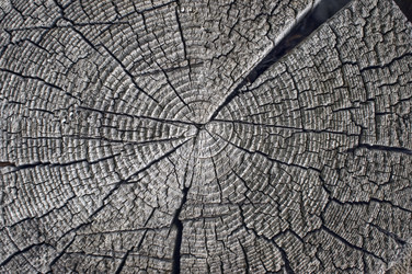 Similar image 398475