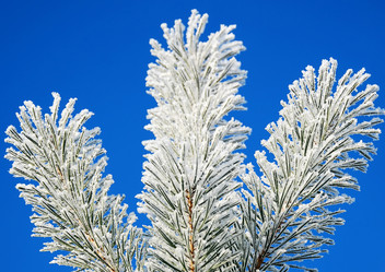 Similar image 398535