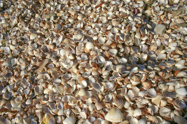 Similar image 398538