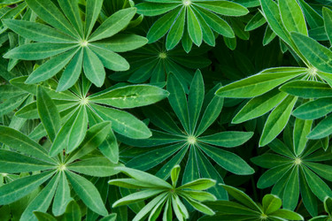 Similar image 398592