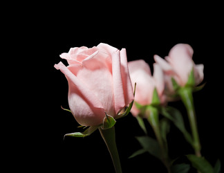 Similar image 398599