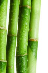 Similar image 398633