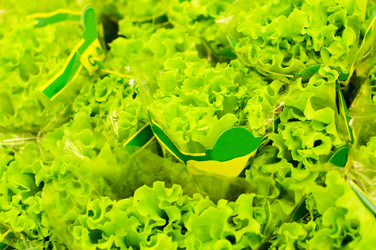 Similar image 398661