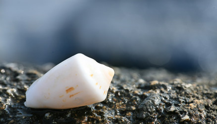 Similar image 398668