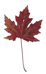 Similar image 398669