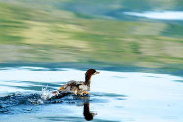 Similar image 398690