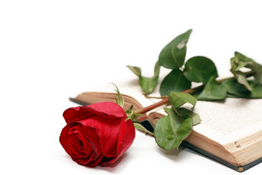 Similar image 398708