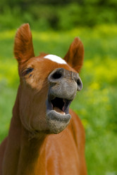 Similar image 398721