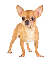 Similar image 398741