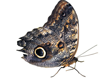 Similar image 398747