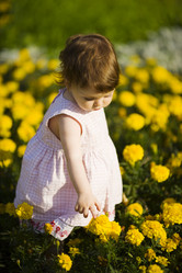 Similar image 398778