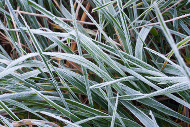 Similar image 398794