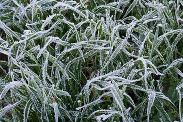 Similar image 398795