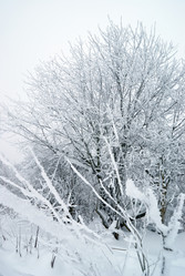 Similar image 398812