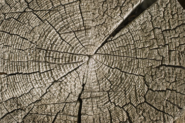 Similar image 398820