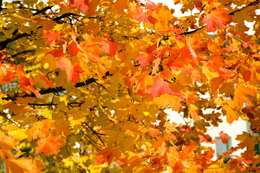 Similar image 398879