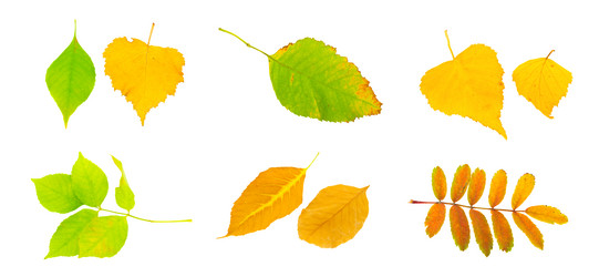 Similar image 398906