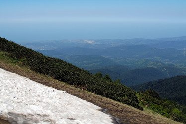 Similar image 398957