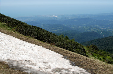 Similar image 398959