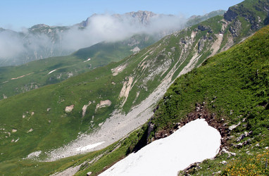 Similar image 398960