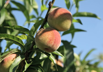 Similar image 398964