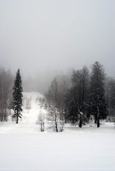 Similar image 398973