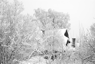 Similar image 398978