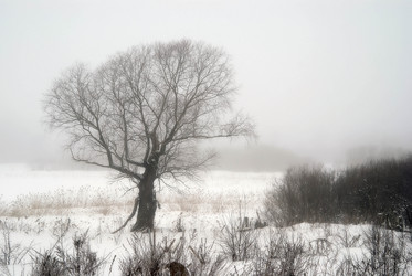 Similar image 398983