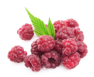 Similar image 399033