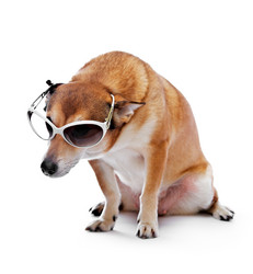 Similar image 399045