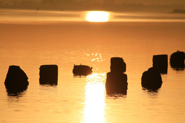 Similar image 399072