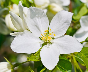 Similar image 399183