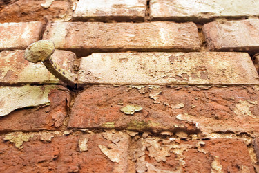 Similar image 399226