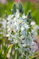 Similar image 399268