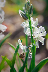 Similar image 399270