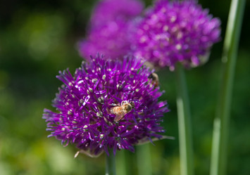 Similar image 399271