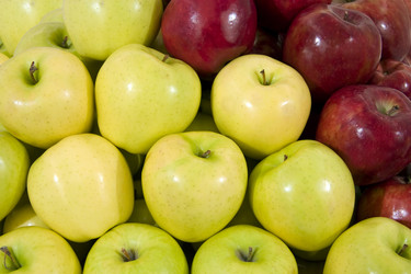 Similar image 399284