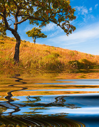 Similar image 399293